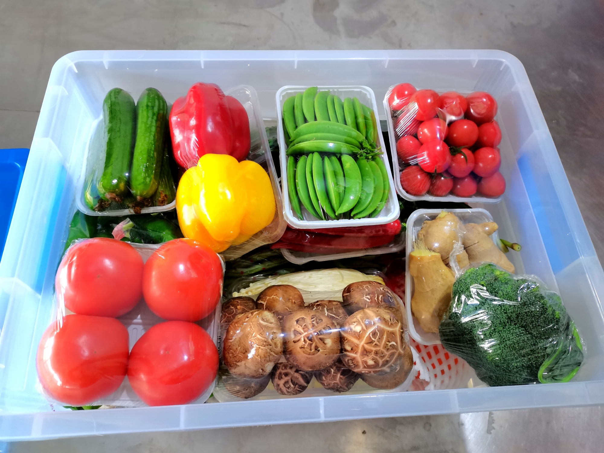 淨菜禮盒B（塑料箱）